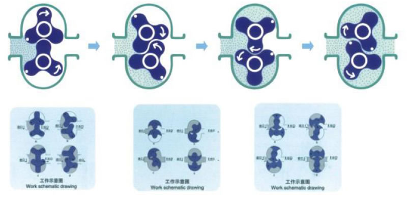 转子泵工作模拟图