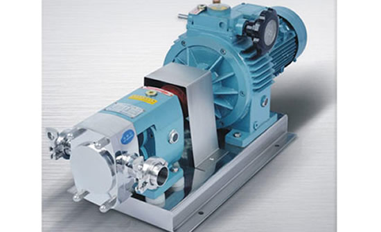 卫生转子泵生产厂家